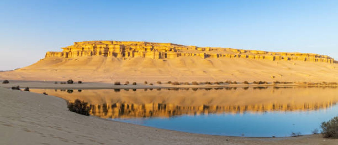 istockphoto-1430783170-612x612