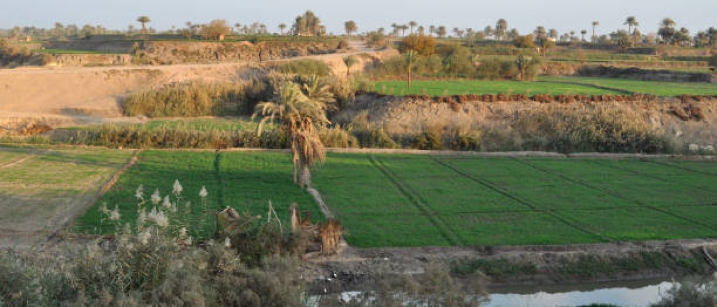 The el fayoum countryside, Egypt