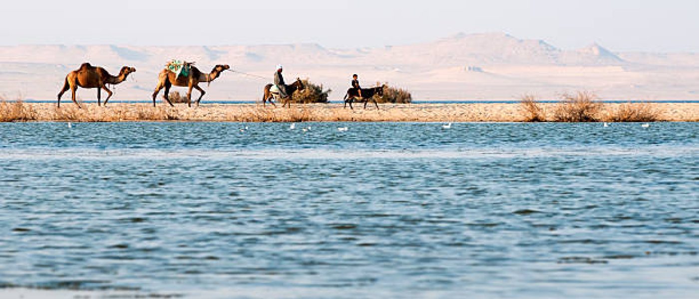 istockphoto-458253181-612x612