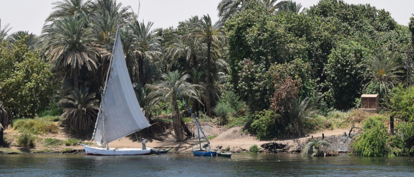 pexels-michelle-chadwick-2149425616-30638816